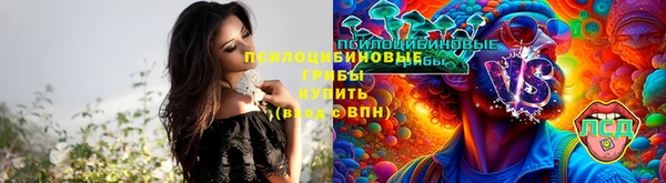бошки Абаза
